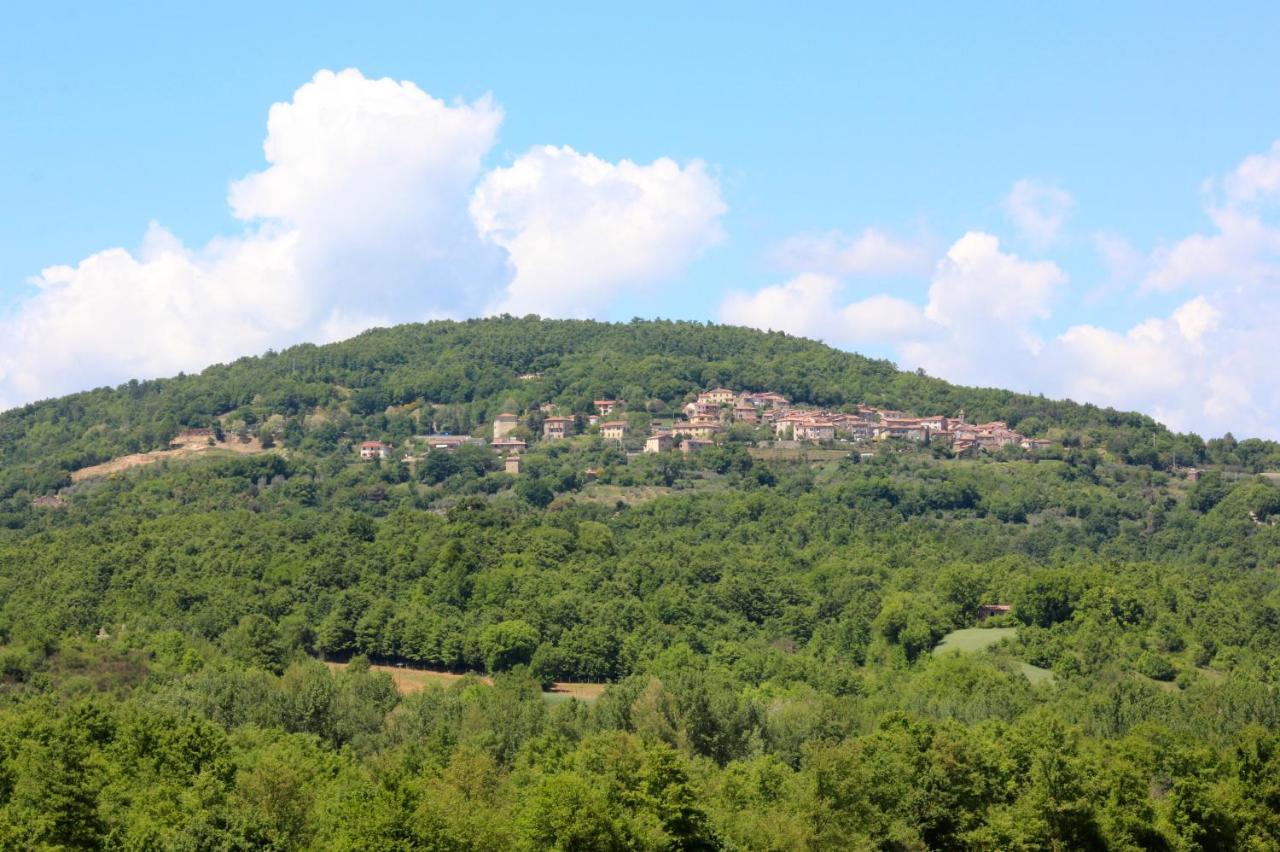Agriturismo La Via Dell'Oliviera Ciciano Eksteriør bilde